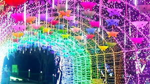 안산별빛마을 애니멀 & 하트빌리지 빛축제 2021(1)