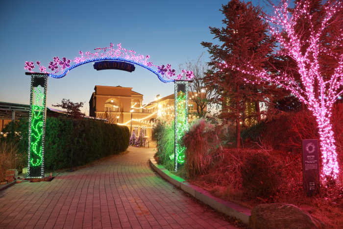 퍼스트가든 빛축제 - 별빛이 흐르는 정원 2020(4)