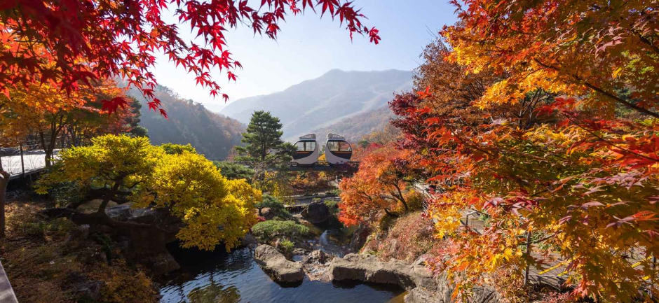 화담숲 가을 단풍 축제 | 지역축제 | 대한민국 구석구석 축제